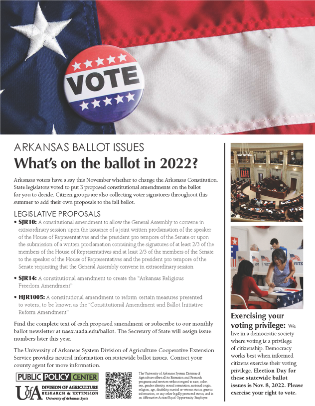 Image of 2022 ballot issue handout