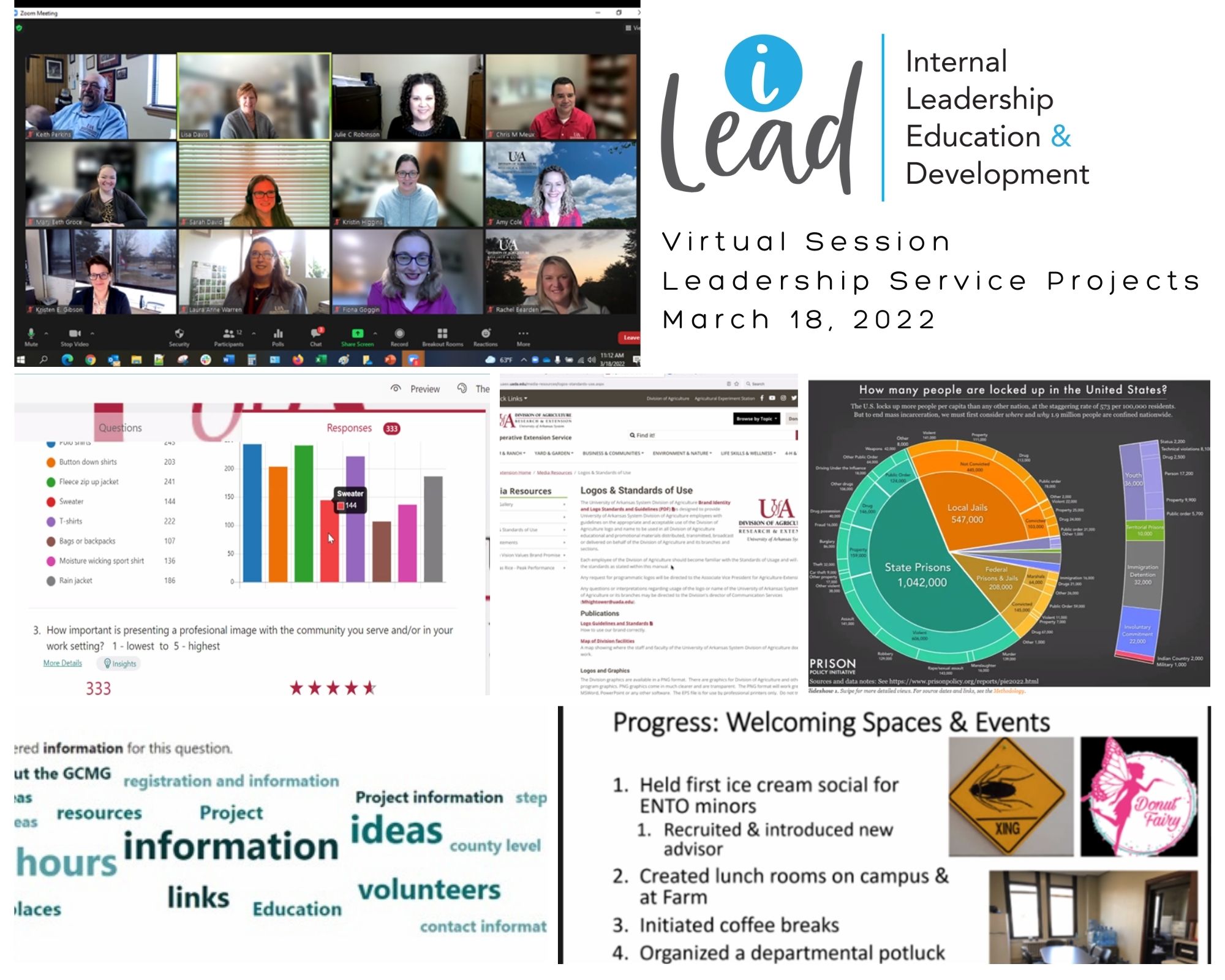 Screenshots of iLEAD virtual session discussing leadership projects