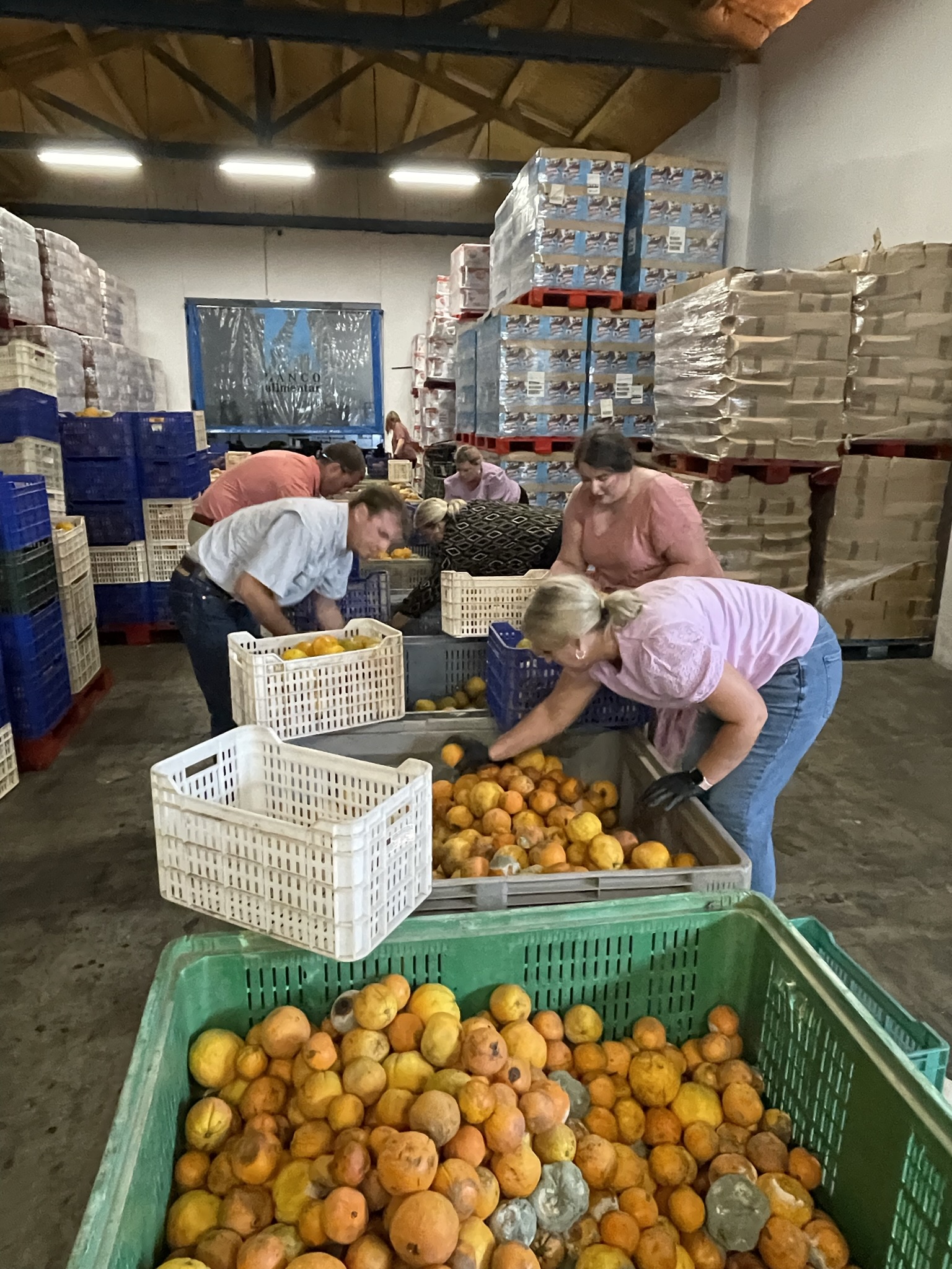 Class 19 separates oranges at food bank in Portugal