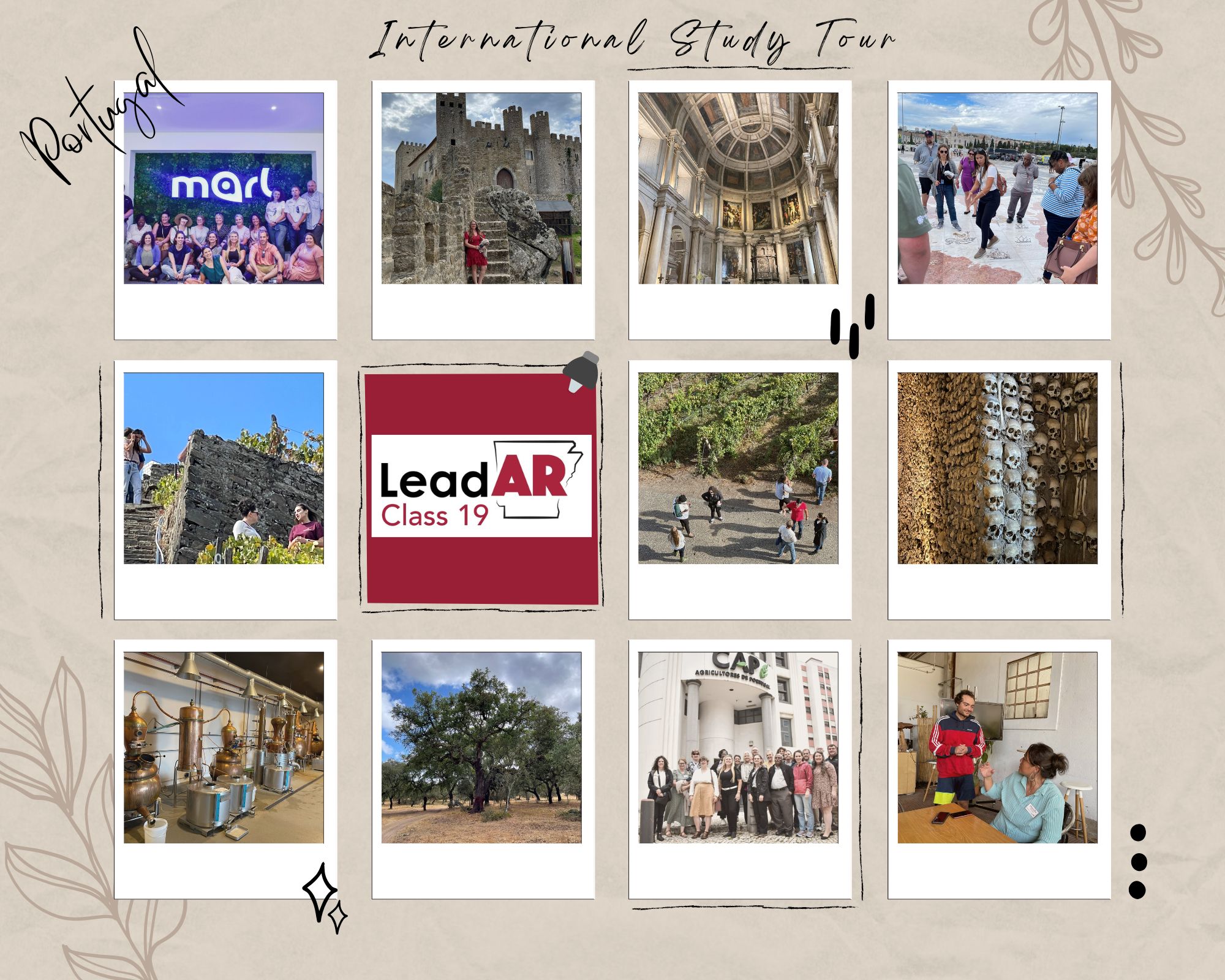International Study Tour photo collage