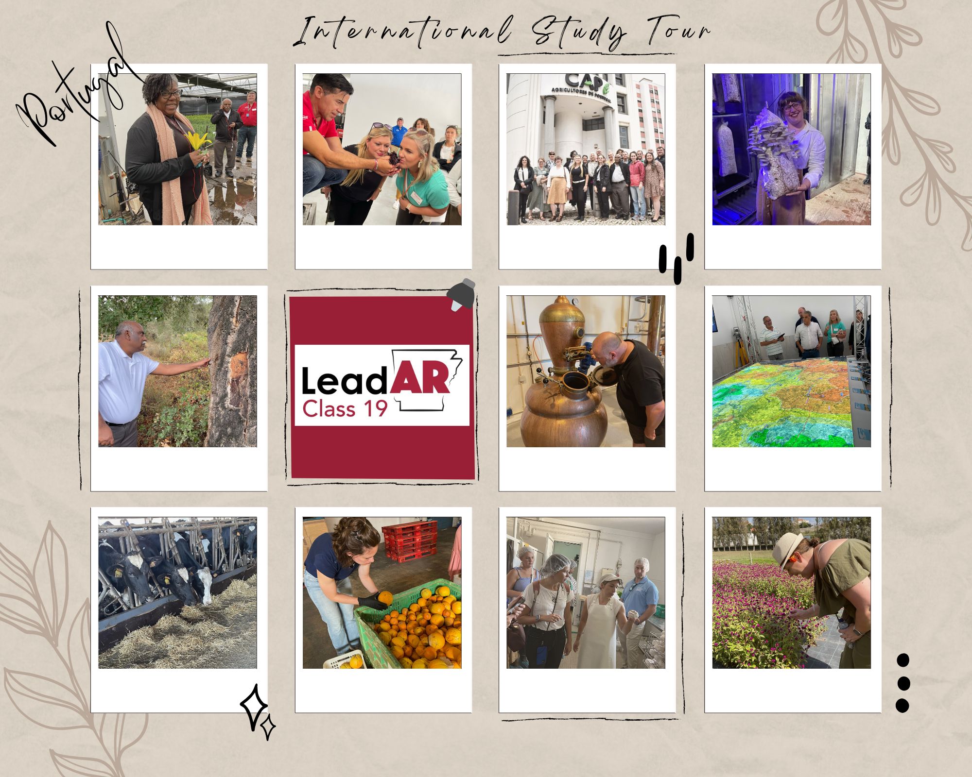 LeadAR International Study Tour photo collage