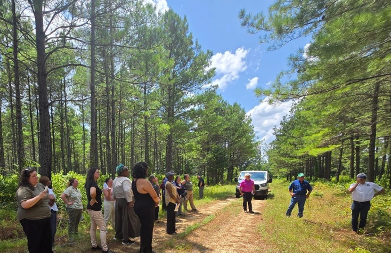 LeadAR Class 21 in forest