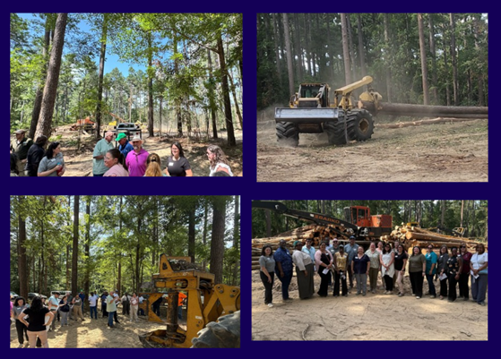 LeadAR Class 21 collage of time in forest