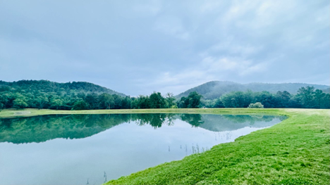 Fog over the lake at the C.A. Vines Center