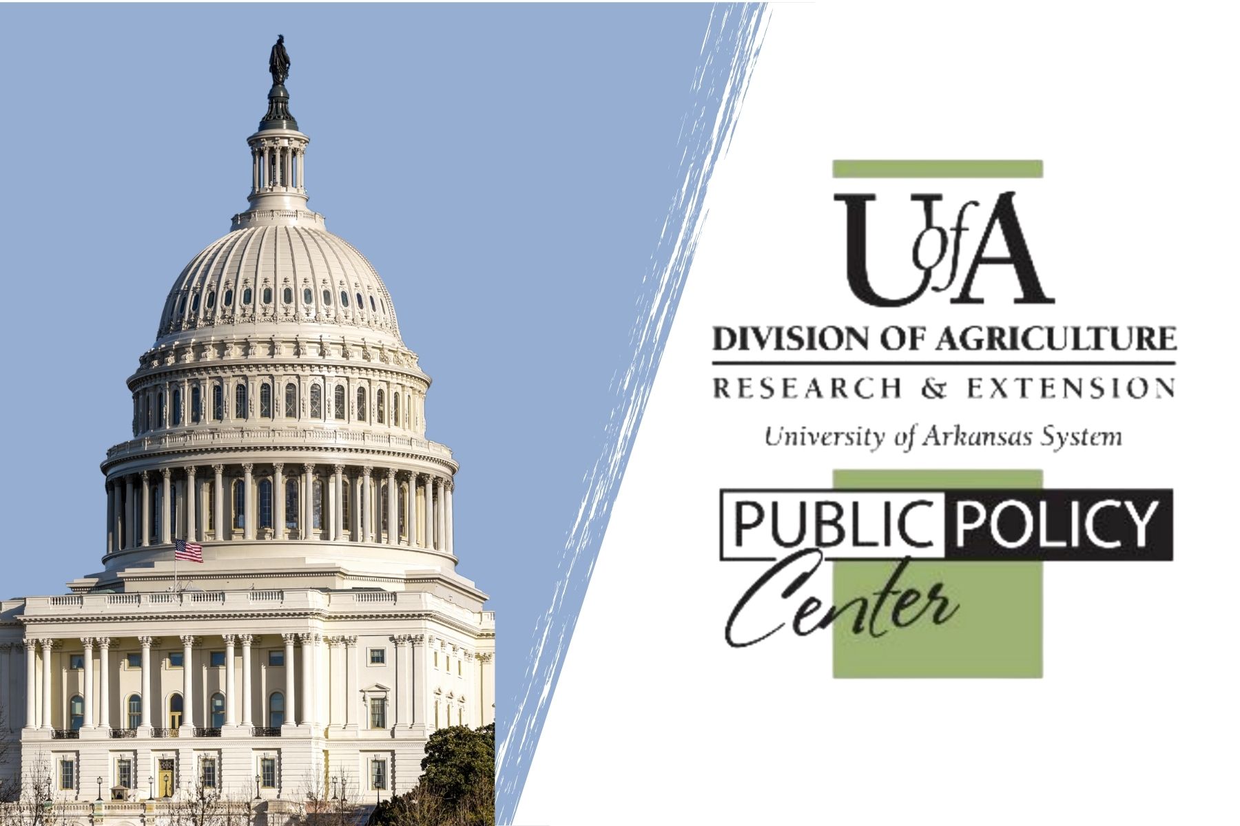US Capitol photo and Public Policy Center logo