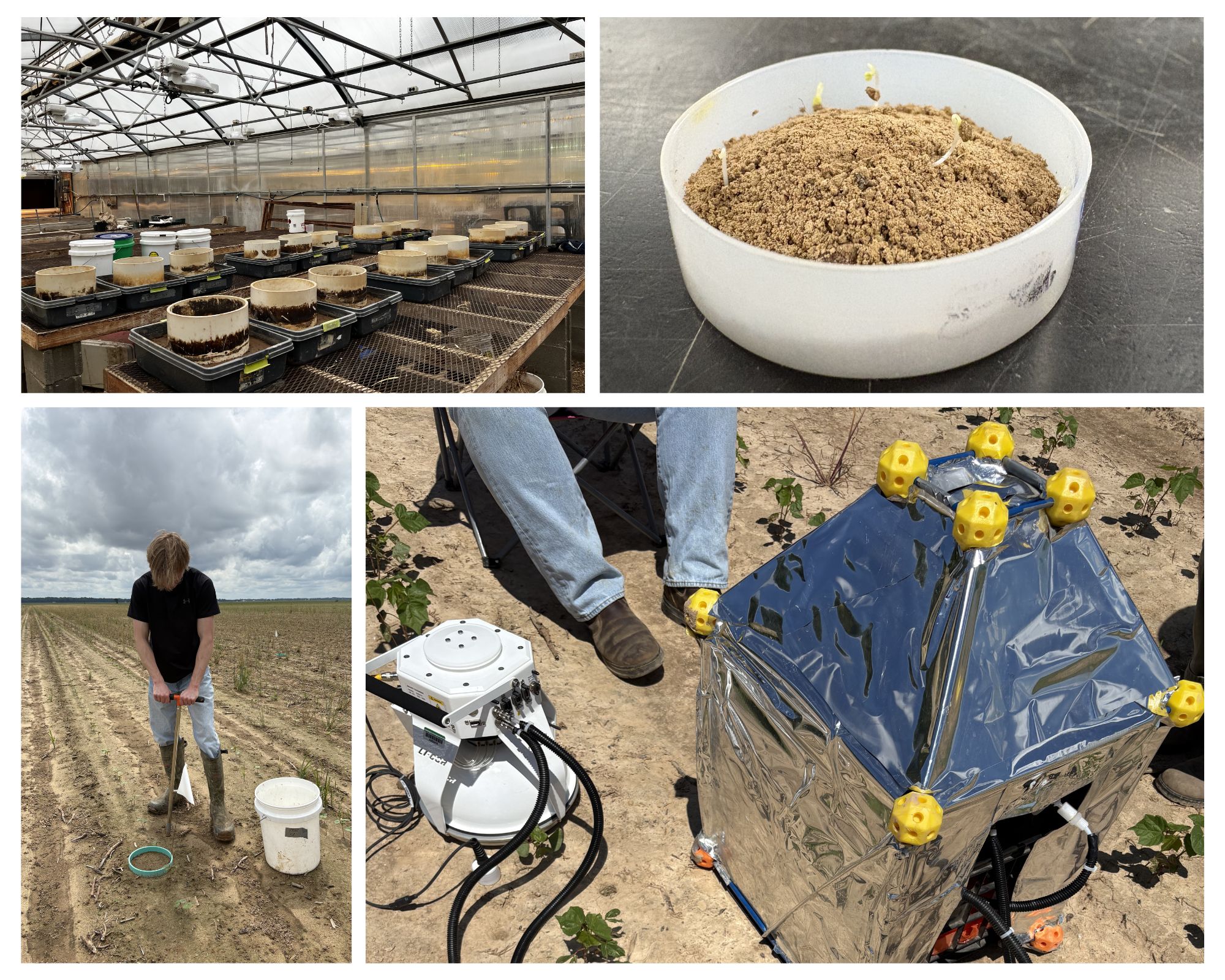 photo collage of field and soil work