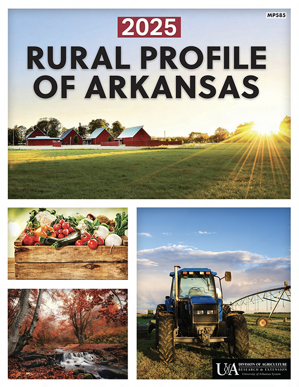 2025 Rural Profile cover