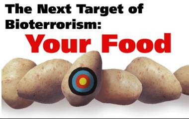 Potato target Potato target