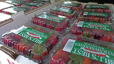 Cartons of strawberries in chilled storage