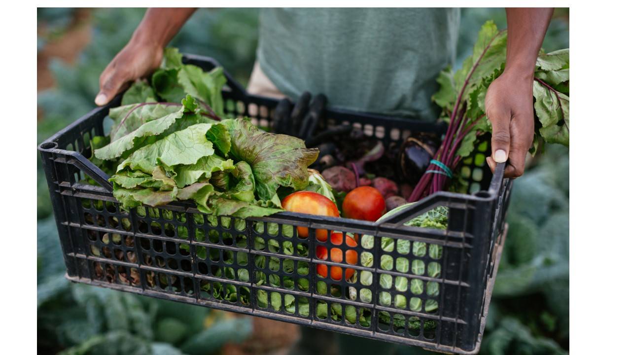 Food Safety Resources