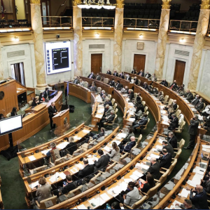 Photo of Arkansas legislative session