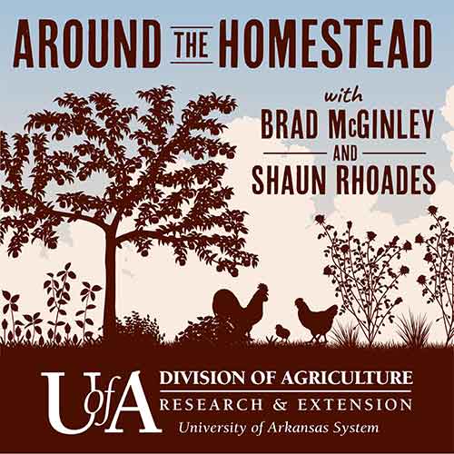 Around the Homestead Podcast