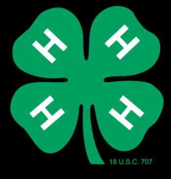 4H clover