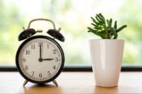 alarm clock next to plant on a table
