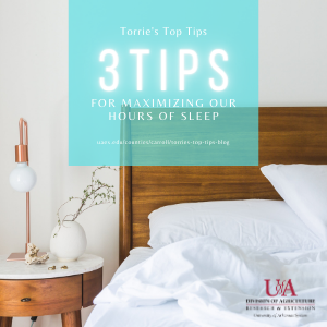 Torrie's Top Tips 3 Tips for Maximizing our Hours of Sleep with bed in background