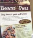exhibit of beans and peas beans and peas exhibit