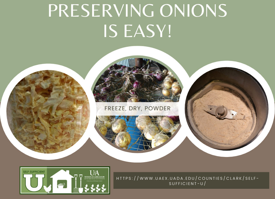 preserving onions is easy