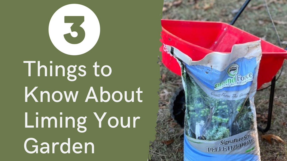 758x4703 things you need to know about liming your garden