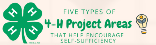 5 easy 4H projects for kids
