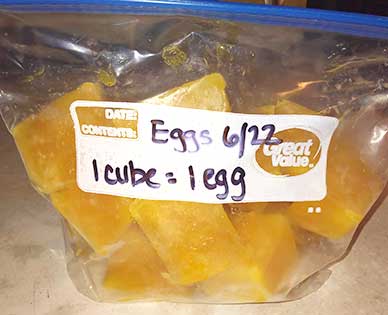 bag of frozen egg cubes