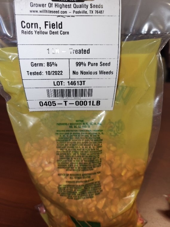 beg of dent corn seeds