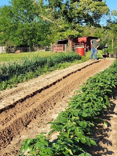 man working in garden