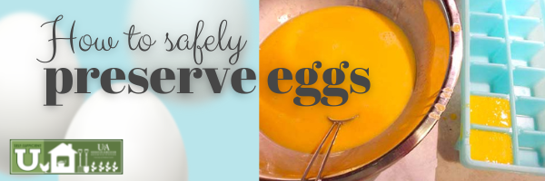 how to safely preserve eggs. photo of eggs in a cube tray next to a bowl with egg yolks