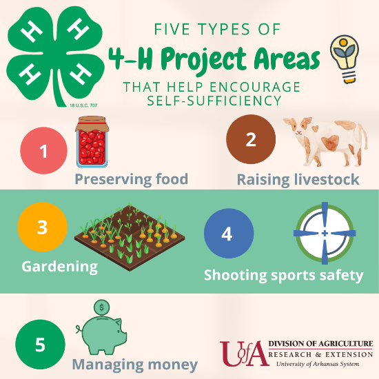 five types of 4H project areas that help encourage self-sufficiency five types of 4H projecct areas that help encourage self-sufficiency. 1. Preserving food 2. livestock 3. gardening 4. shooting sports safety 5. managing money