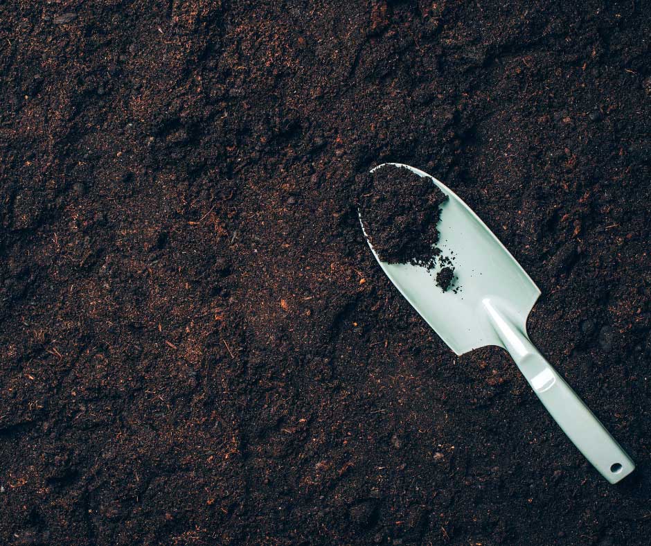 dark brown soil with a spade on top