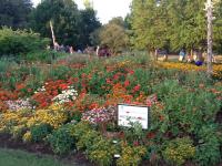 ASU Display Garden Project