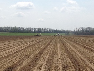 Corn planting at Neuhardt Corn planting at Neuhardt