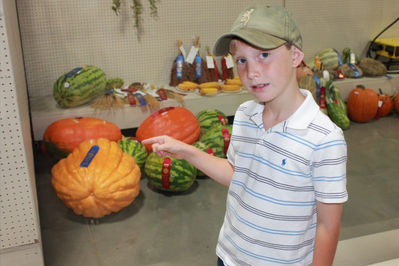 NEA District Fair Giant Pumpkin Entry
