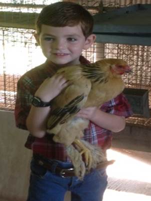 Cloverbud 4-H'er holding winning county fair poultry project.