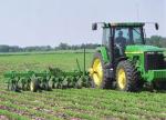 Row Crops with tractor Tractor in field