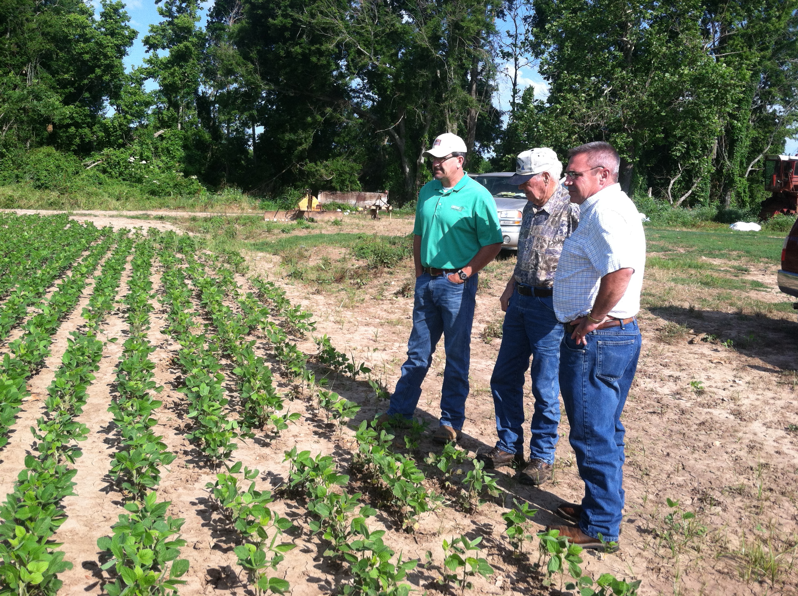 Agriculture | Faulkner County Extension | Arkansas