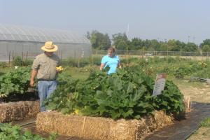 Teaching Garden | Faulkner County Extension - Horticulture | Faulkner County Extension | Arkansas
