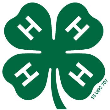4H Clover 4H Clover