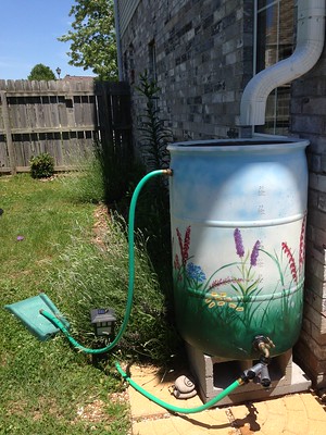 Rain barrel used for watering yard and plants