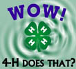4-H clover on light green background with waves. Wow 4-H Does That?