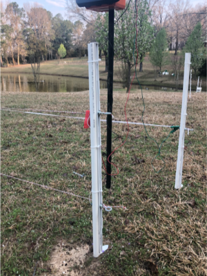 Electric fencing at producer's farm