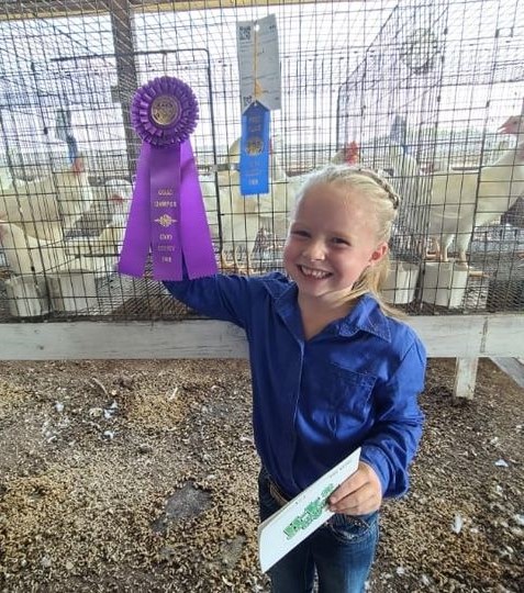 Emmarie K. Grand Champion Poultry Chain Pen