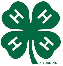 4-H Clover; a green 4 leaf clover with the letter "H" on each leaf.