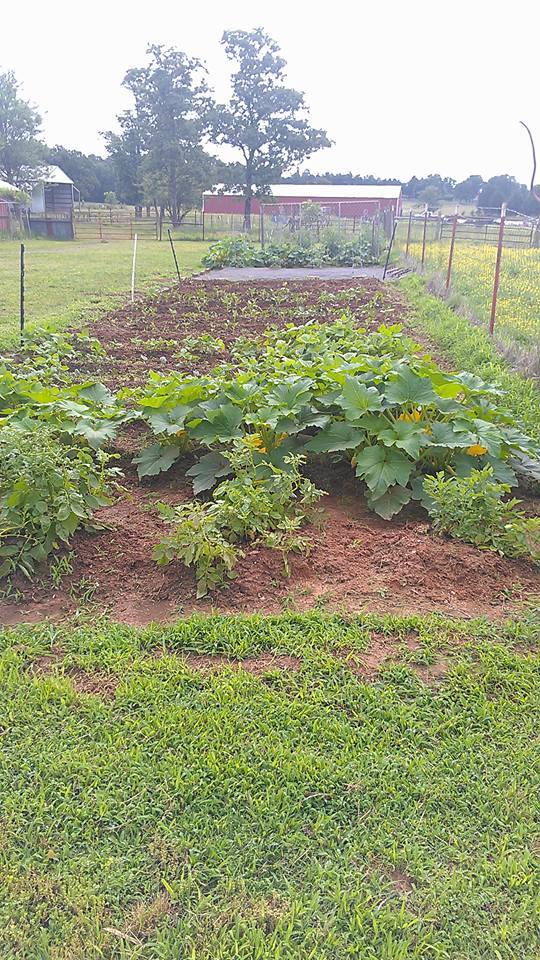 Johnson County Community Garden