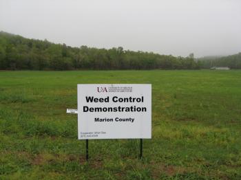 Weed Control Demonstration 