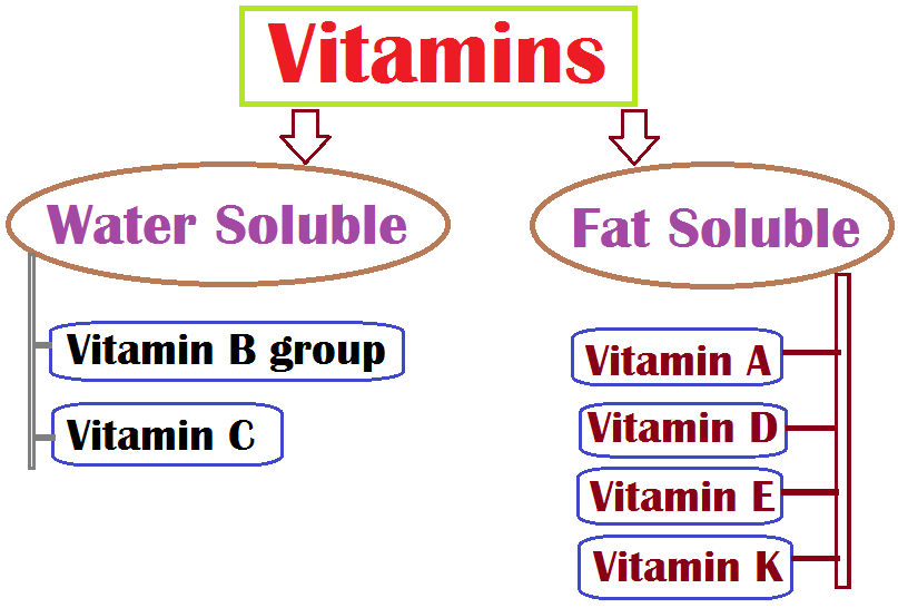 list of water-soluble and fat-soluble vitamins