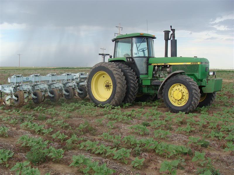 tractor in row crop field