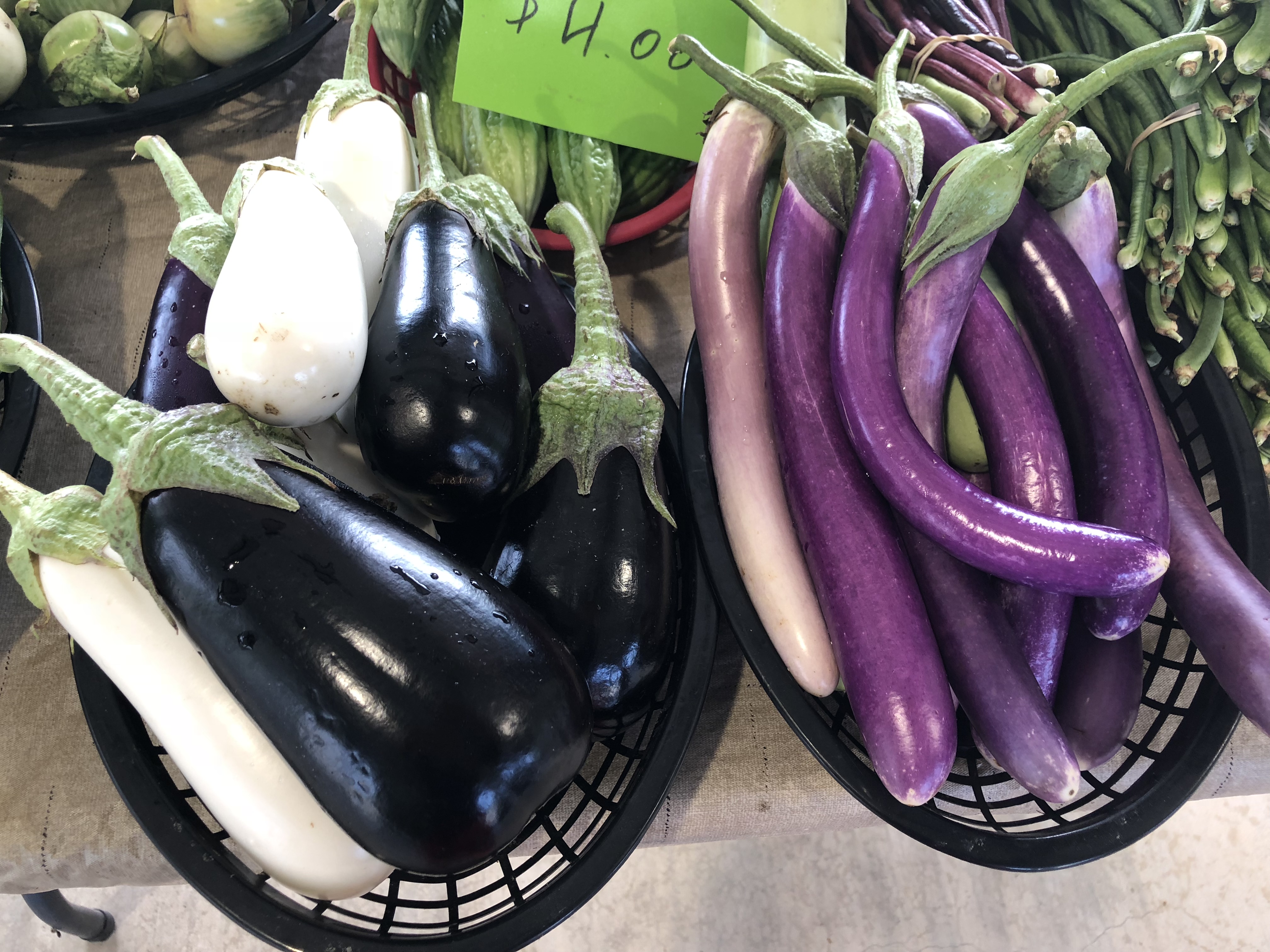 eggplants in deep purple as well as pristine white and small round green eggplant