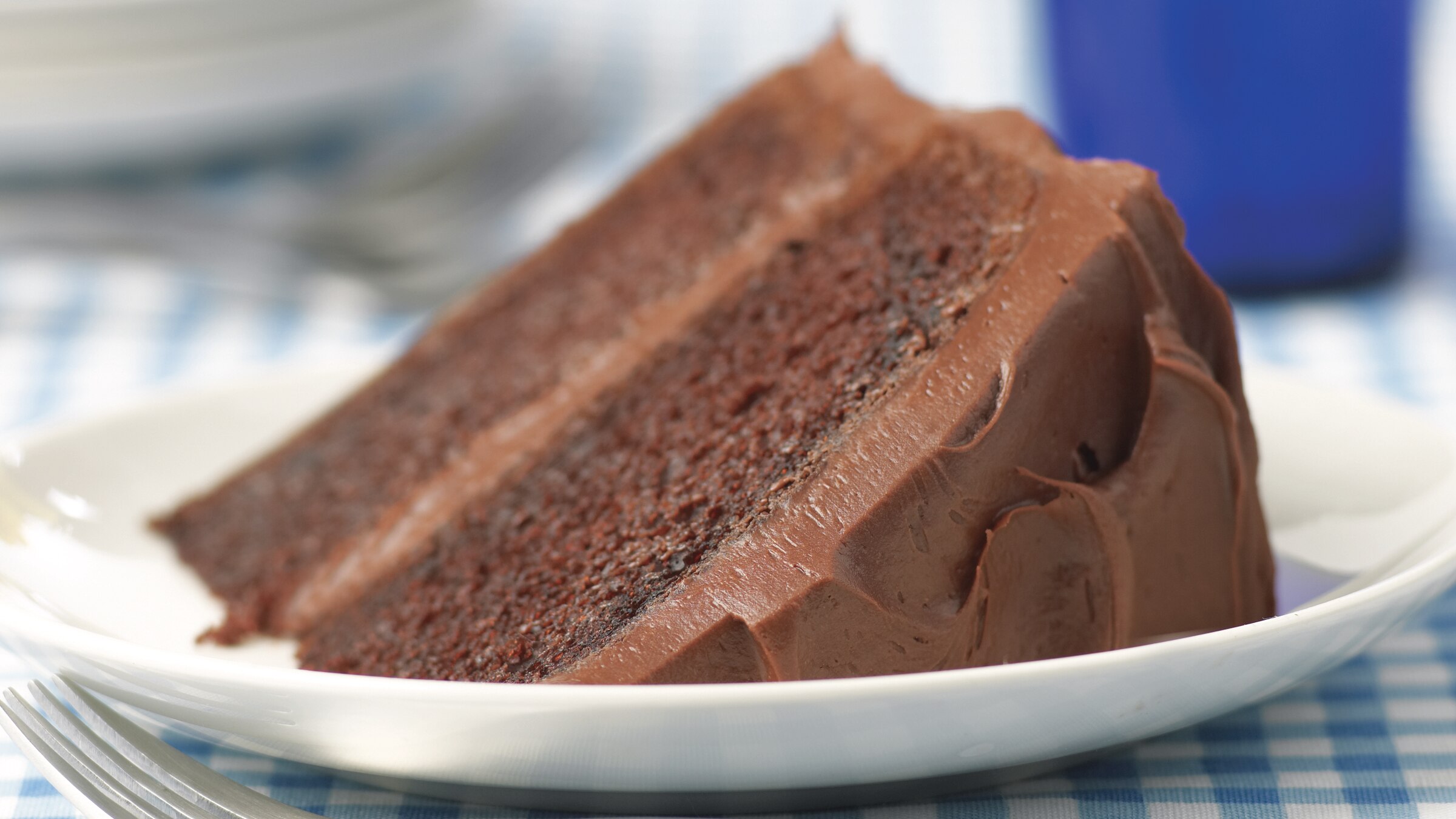 chocolate mayonnaise cake slice with chocolate icing on a saucer