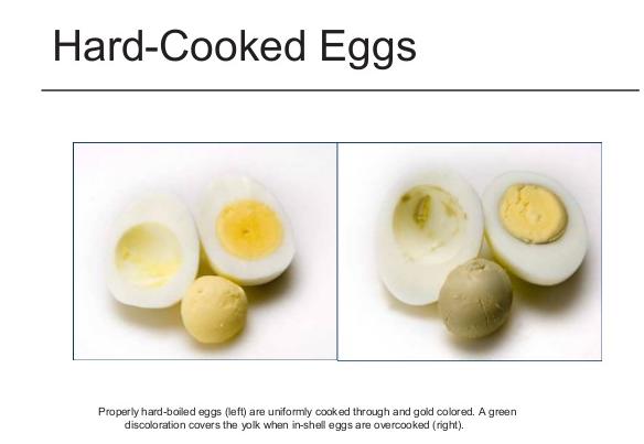 How to Make Hard Boiled Eggs - Eating Bird Food