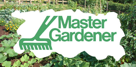 Master Gardener logo with a garden background